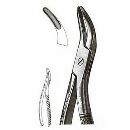 Extracting Forceps #120 Dental Surgical Instruments