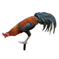 thumbnail image 4 of Estaca decorativa de gallo para jardín perfecl figura acrílica, 4 of 8