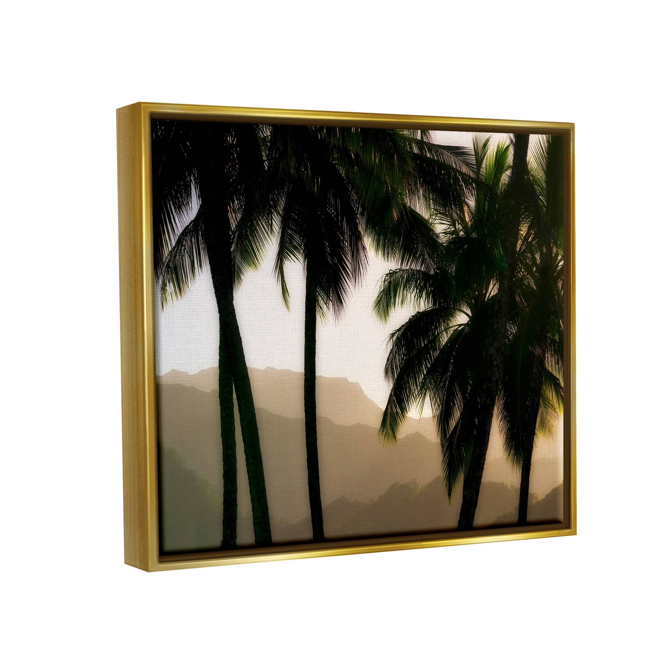 Stupell Industries Sunlit Palm Trees Mountain Peaks Photograph Metallic Gold Floating Framed Canvas Print Wall Art, Design by Dennis Frates