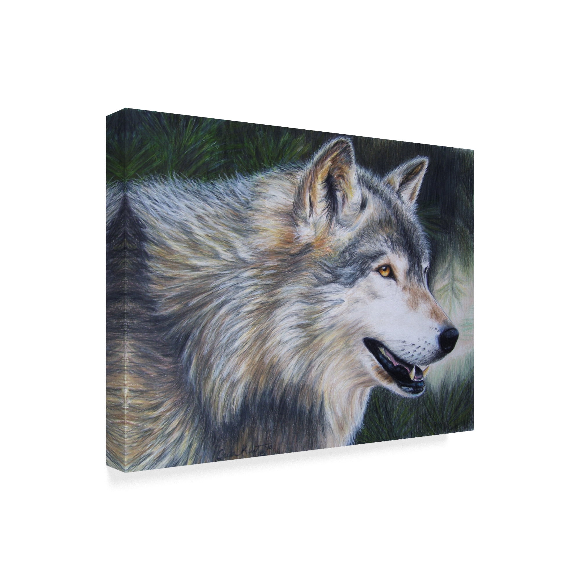Trademark Fine Art 'Timber Wolf Dark' Canvas Art by Carla Kurt