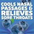thumbnail image 5 of HALLS Throat Relief Blueberry Cough Drops, FSA/HSA Eligible, Value Pack, 80 Drops, 5 of 14