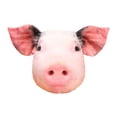 thumbnail image 2 of Dvkptbk Throw Pillows Simulation Pig Pillows Sofa Cushion Series Gift Home Essentials on Clearance, 2 of 8