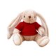 thumbnail image 2 of Fiudx Conejito de Peluche, Suave y Tierno, Regalo de Apoyo Emocional, Adorable Juguete para Amigos, Familiares y Novias, Ideal para Todas Las Edades, Ideal para Momentos Acogedores, 25 Cm., 2 of 5
