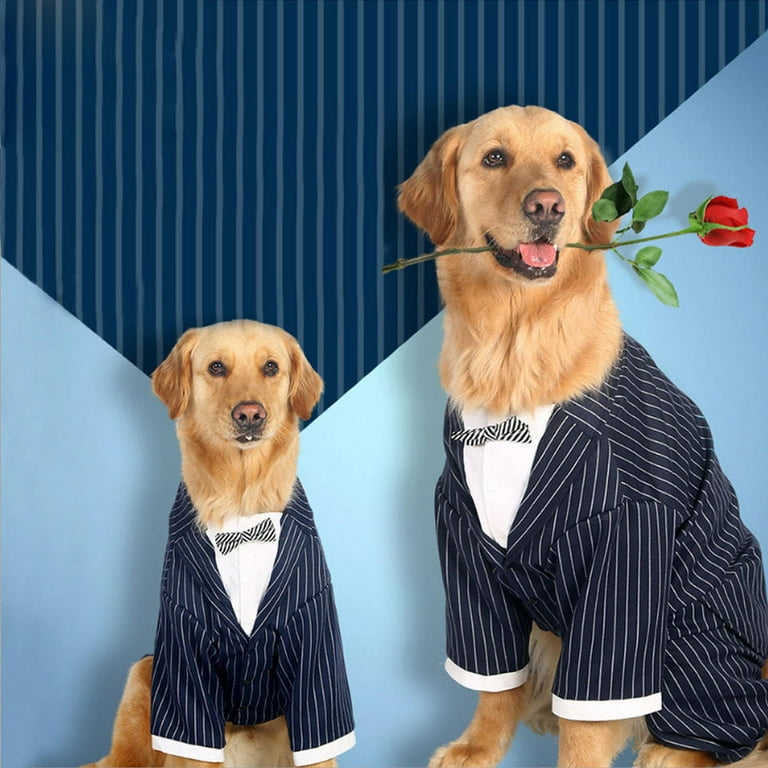 Golden top retriever apparel