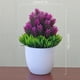 thumbnail image 2 of Advancent NUEVAS Plantas Artificiales Bonsai Plantas de Maceta de Árbol Pequeño Decoración Agujas de pino color de loto de piña, 2 of 3