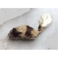 thumbnail image 1 of Souris Rebondissante de Porte - 2427, 1 of 1