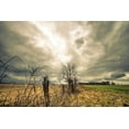 thumbnail image 2 of Quillen, Donnie 14x11 Gold Ornate Wood Framed with Double Matting Museum Art Print Titled - Storm Season II, 2 of 4