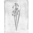 thumbnail image 2 of Grey, Jace 25x32 Gold Ornate Wood Framed with Double Matting Museum Art Print Titled - Monochrome Floral Cleaner 4, 2 of 4