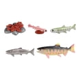 thumbnail image 1 of Juguetes del ciclo de vida del salmón, figuritas de animales de granja, material didáctico, ciclo de crecimiento cognitivo Animal, juego de rol educat, 1 of 8