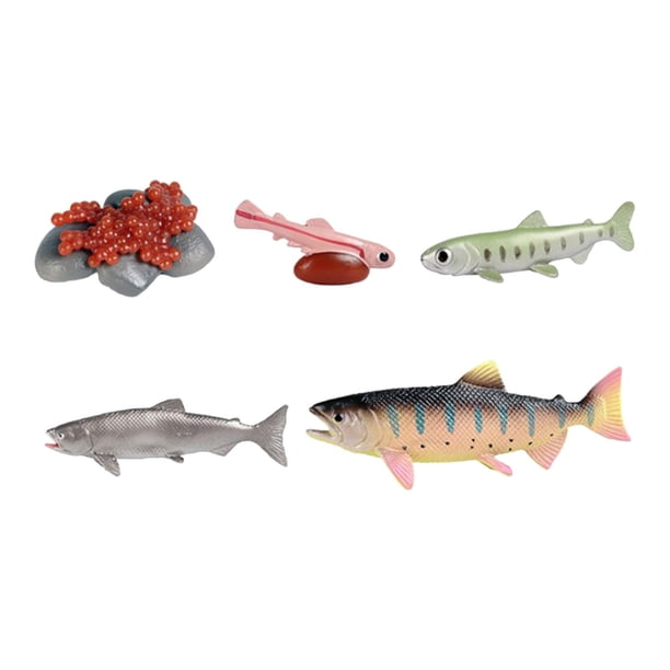 Juguetes del ciclo de vida del salmón, figuritas de animales de granja, material didáctico, ciclo de crecimiento cognitivo Animal, juego de rol educat
