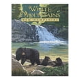 thumbnail image 2 of White Mountains, New Hampshire, Wild and Wonderful, Waterfall and Bears (1000 Piece Puzzle, Size 19x27, Challenging Jigsaw Puzzle for Adults and Family, Made in USA), 2 of 4