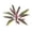 A, variant on Artificial Dracaena Plant 11.81 Inch,Realistic Fake Indoor Plant with Red Foliage, Low Maintenance Long Lasting Plastic Houseplant,Decorative Accent for Coffee Table Desk Entrance Hall Home Decor