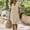 Khaki, variant on Daily Dresses for Women V-Neck Short Sleeve Solid Midi Shift Dress Flowy Casual Beach Cotton Sundress with Pockets Black S