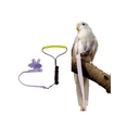 thumbnail image 1 of Pet Parrot Bird Harness Leash Adjustable Bird Flying Harness Traction Rope With Cute Wing For Parrots Pigeons Budgerigar Lovebird Cockatiel Mynah Outd, 1 of 4