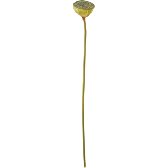 Lotus Pod Floral Accent (Set of 12)
