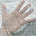 thumbnail image 3 of Crabs Tulle Curtains with Rod Pocket, Maritime Sea Theme Crabs and Seashells Animals on the Spotted Background Print, Sheer Drape for Wedding Party 2 Panels, 7 Sizes, Blue and Yellow, by Ambesonne, 3 of 3