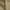 Khaki, variant on Lee® Men's Legendary Flat Front Relaxed Straight Pant with Wrinkle Resist
