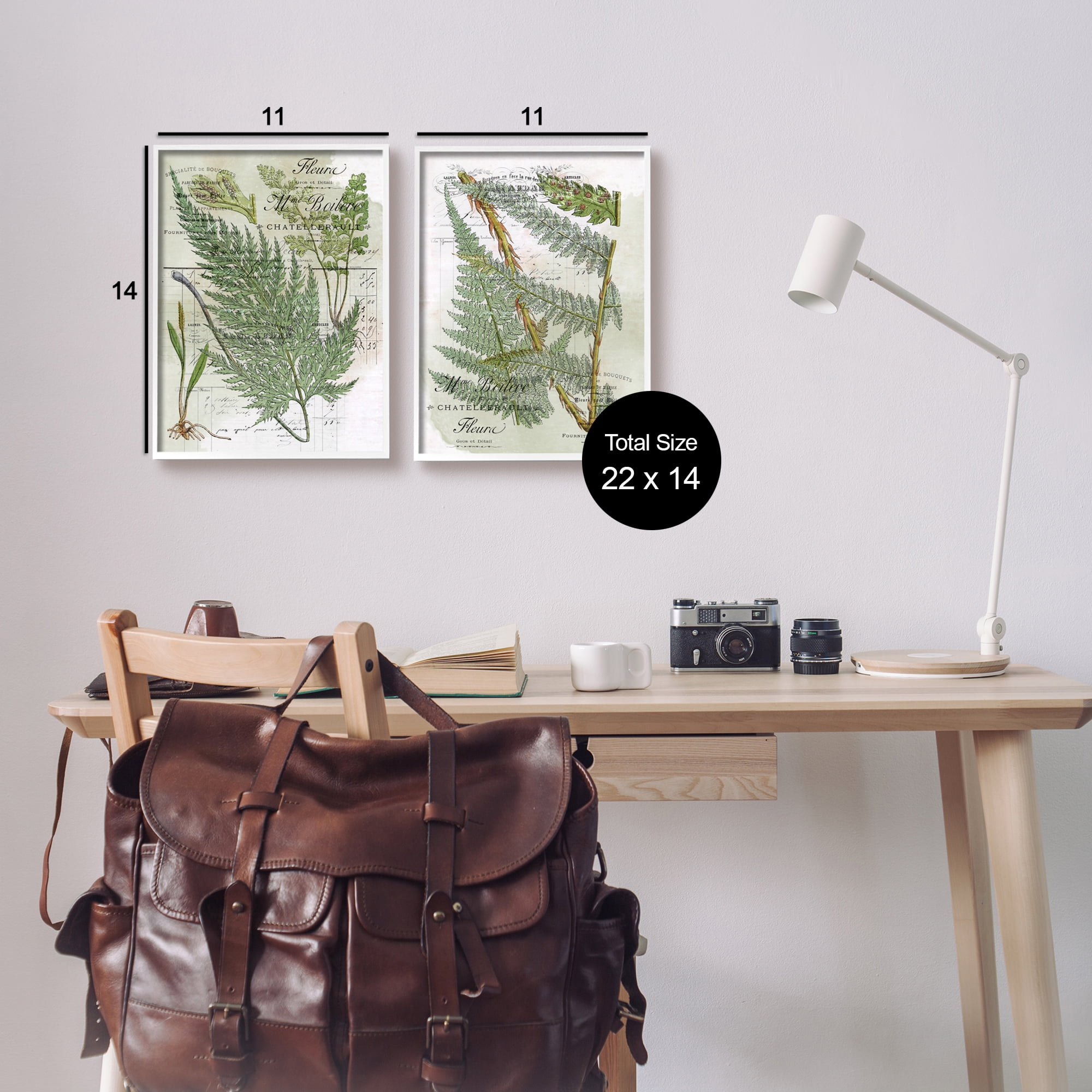 Stupell Woodland Fern Botanical Latin Study Botanical & Floral Painting White Framed Art Print Wall Art, Set of 2