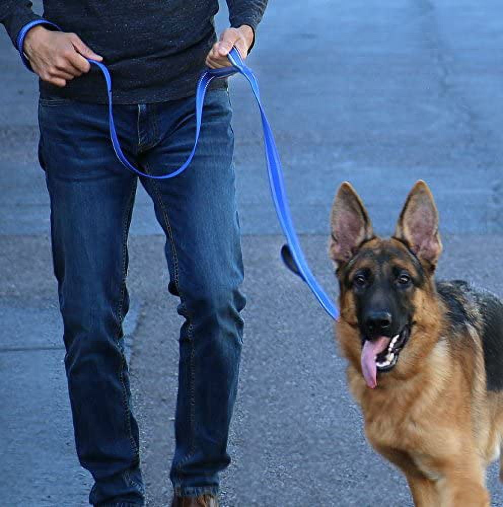 Max and neo triple handle leash sale