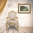 thumbnail image 3 of Alnaser, Mohammed 18x13 Gold Ornate Wood Framed with Double Matting Museum Art Print Titled - At The Edge, 3 of 4