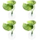 thumbnail image 4 of 4 Uds Betta Fish Leaf plástico doble hoja Betta punto de descanso con ventosa para tanque de agua de 5?10L, 4 of 8