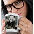 thumbnail image 2 of 3drose, China, Chengdu, Panda Sanctuary, Panda Bear-as07 Cmi0105 - Cindy Miller Hopkins, 11oz Magic Transforming Mug, 2 of 7