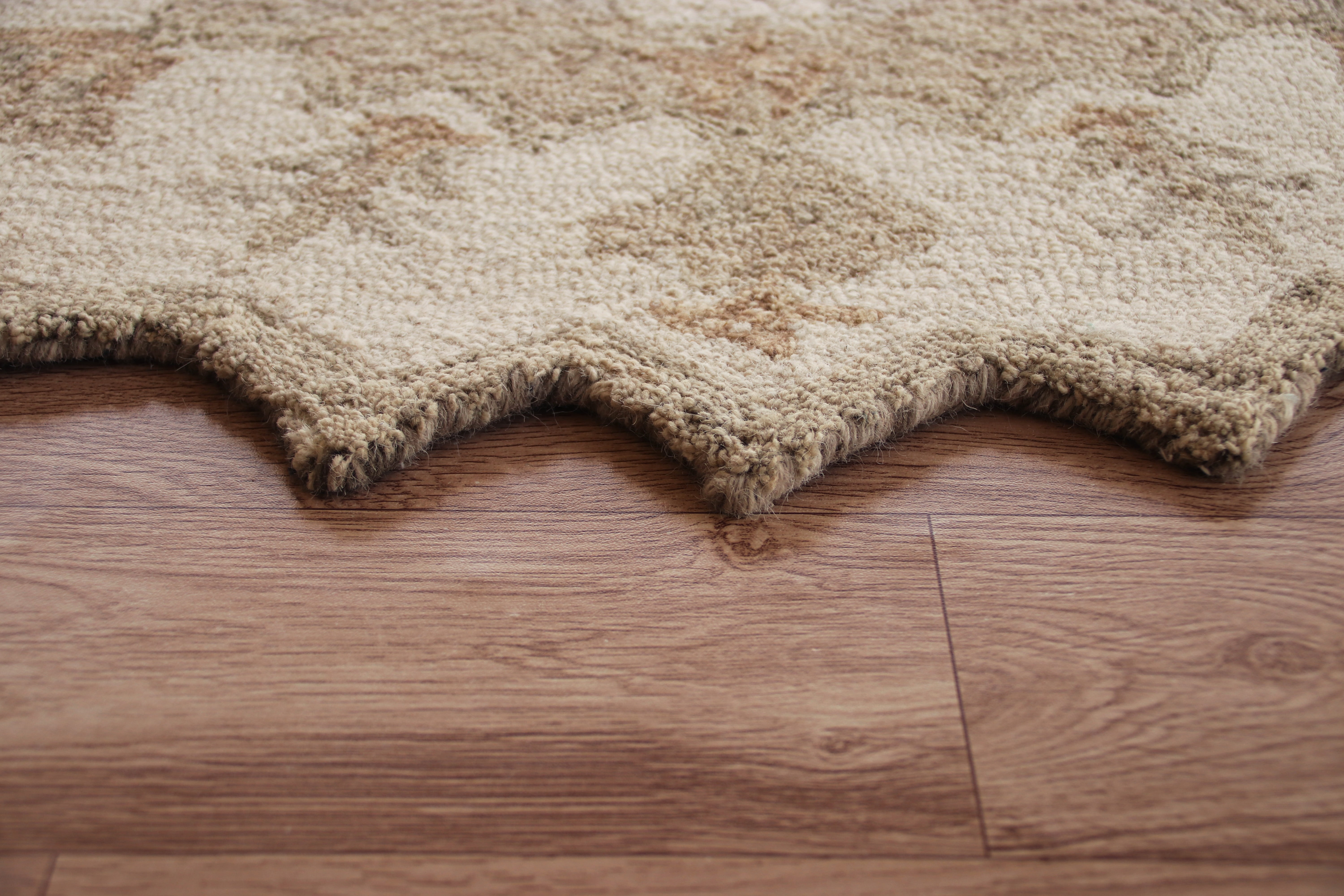 Harlow Hill Daisey Beige Medallion Wool Indoor Area Rug6' Round