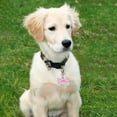 thumbnail image 4 of Personalized Pet ID Tags Durable Shape Of Bone Anti-lost Customizable On Both Sides Diamond For Dogs Engraved Listing 0.8*1.3*0.2in, 4 of 9