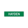 thumbnail image 1 of Hayden Girls Children Indoor Outdoor Name Letter Printed Label Wall Plaque Decoration Aluminum Metal Sign 4"x13.5", 1 of 1