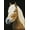 Chester, variant on DIAMOND DOTZ® Chester Horse Diamond Painting Kit - 18.5" x 13.4"