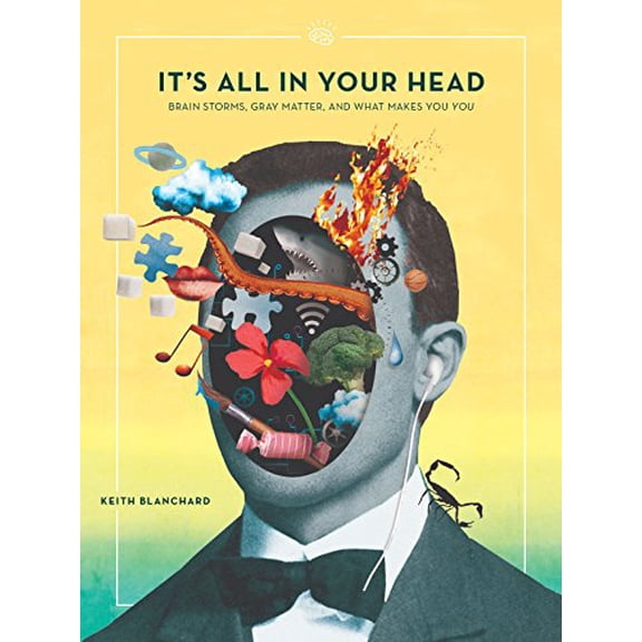 Pre-Owned It's All in Your Head (Paperback) 069291823X 9780692918234