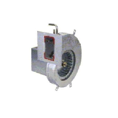Lennox Combustion Blower Assembly (93W13)