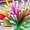 B, variant on 100PC Pipe Cleaners, Multi-Colored Chenille Stems DIY Simulation Bouquet Materials Pipe Cleaners Craft, , Assorted Colors Art Crafts, Color Craft Pipe Decorations