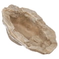 thumbnail image 5 of Fluker's Lagoon for Hermit Crabs, Small, 5 of 8