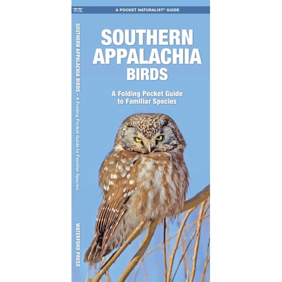 Pocket Naturalist Guides: Southern Appalachian Birds: An Introduction to Familliar Species (Paperback)