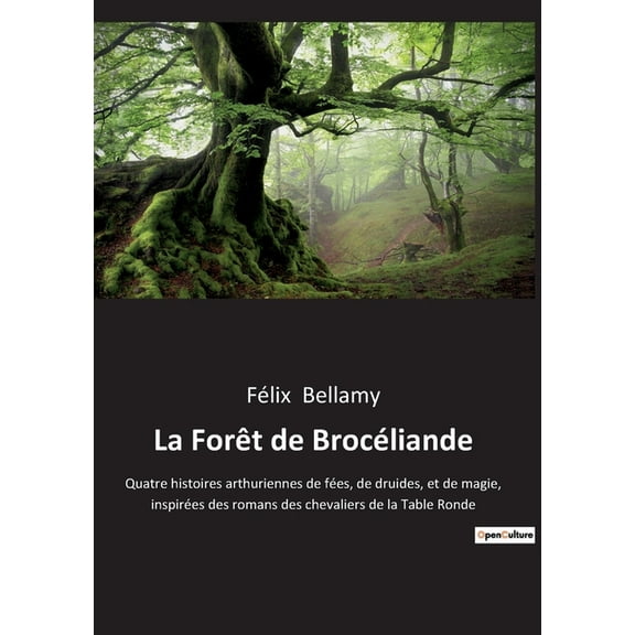 La Forêt de Brocéliande: Quatre histoires arthuriennes de fées, de druides, et de magie, inspirées des romans des cheval, (Paperback)