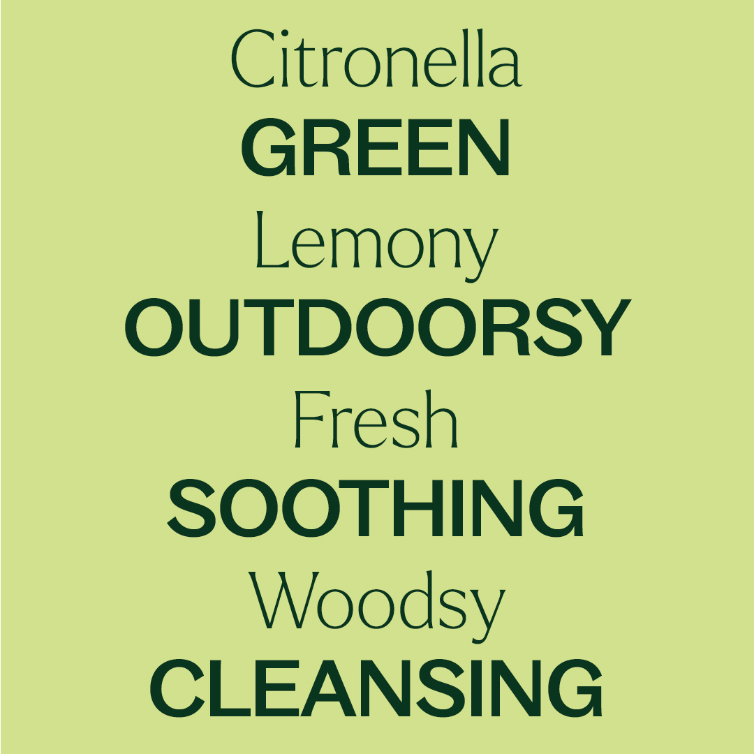 Plant Therapy Citronella Organic Essential Oil 100% Pure, USDA Certified Organic, Undiluted, Natural Aromatherapy, Therapeutic Grade 30 mL (1 oz)