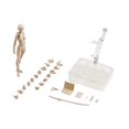 thumbnail image 1 of Vogacara Juego de cuerpo de figuras con soporte de exhibición de figuras para decoración de dormitorio Juguetes Albaricoque hembra 15 cm, 1 of 1