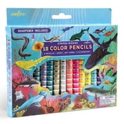 eeBoo: Striped Biggies 12 Color Pencils: Shark - 12pc Set w/ 6 Fluorescent & 6 Metallic Colors, Includes Sharpener, Art Supplies, Kids Ages 4+