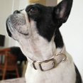 thumbnail image 3 of Basic Classic Padded Leather Dog Collar, Anti-Hairpin Dog Collar, Alloy Hardware D Ring, 3 of 5