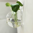 thumbnail image 1 of Wall Mounted Glass Vase for Hydroponic Plants - Modern Transparent Wall Hanging Home Decor with Space-Saving Design, 1 of 1