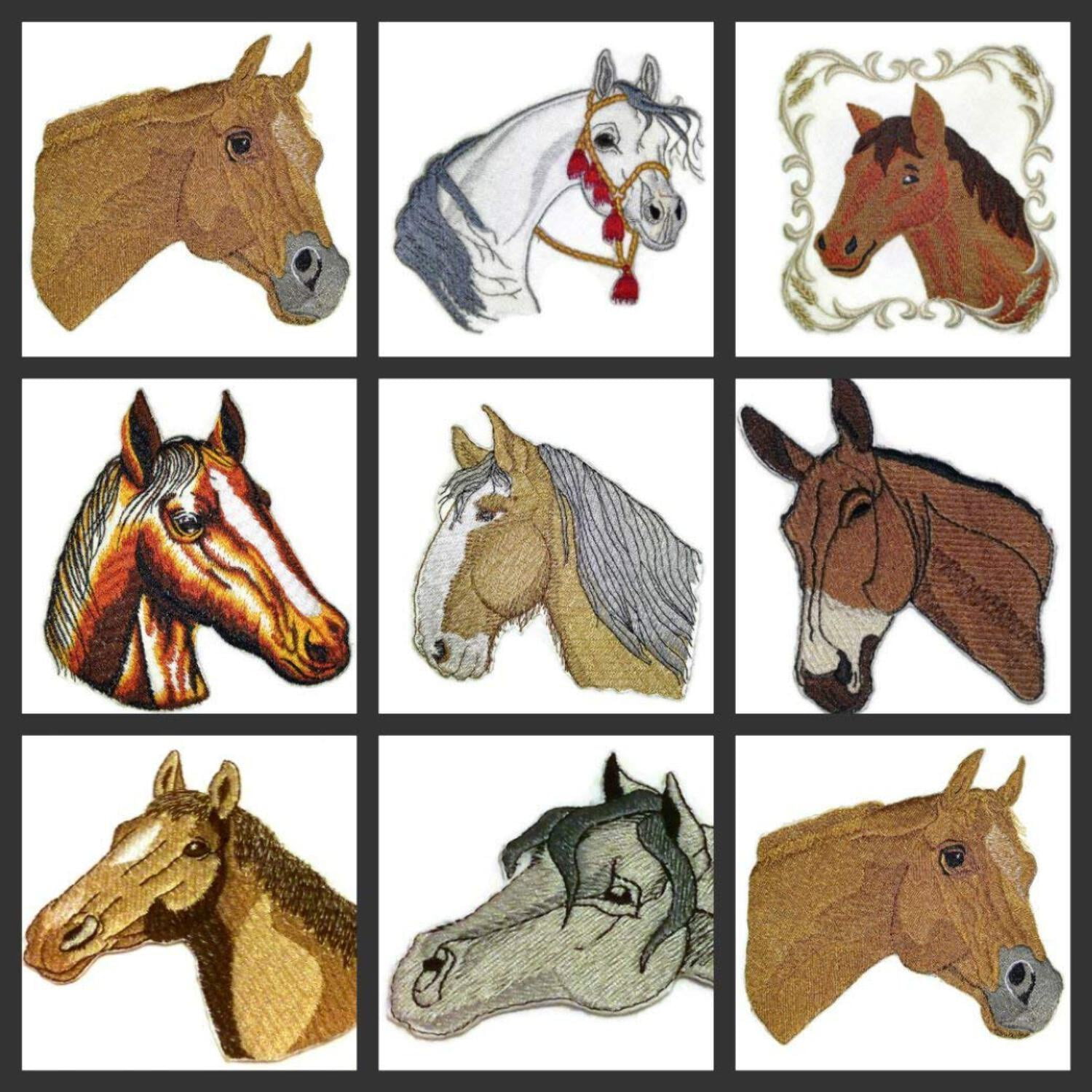 BeyondVision Custom and Unique Horse Face [White Arabian Horse Face ] Embroidery Iron On/Sew applique Patch [5.3" x5"]