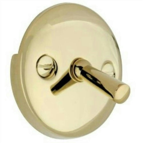 Danco Bathtub Trip Lever Overflow Plate Assembly, Polished Brass,  #80881
