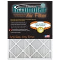 thumbnail image 1 of Accumulair Titanium 18x30x1 (17.5x29.5) High Efficiency Allergen Reduction Air Filter/Furnace Filter, 1 of 2