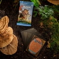 thumbnail image 4 of Booster Box Magic The Gathering Bloomburrow Play, 36 paquetes, 4 of 7
