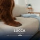 thumbnail image 4 of Sofá Cama Lucca matrimonial Spring Air, con almacenamiento color Beige, 4 of 15