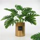 thumbnail image 2 of Planta Artificial Baoblaze de Plástico Melaleuca Bonsai 32 cm decoración para el Hogar, 2 of 8
