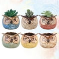 thumbnail image 4 of FRCOLOR  6 Pcs Succulent Basin Flowerpot Owl Vase Planter Planters for Indoor Plants, 4 of 8