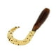 thumbnail image 3 of 50 Uds Jig Head Worm señuelos señuelo de pesca suave cebo gelatina herramienta de señuelo Material de sílice 3,8 cm / 1,5 pulgadas marrón, 3 of 7