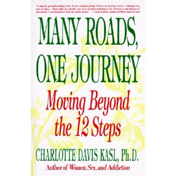 Pre-Owned Many Roads One Journey: Moving Beyond the Twelve Steps (Paperback) 0060965185 9780060965181